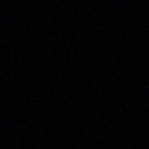 Meet your Posher, Rudy